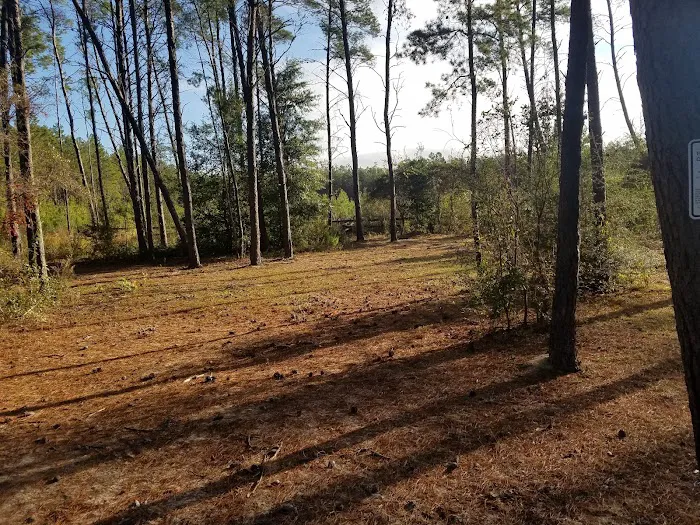Pine Ridge Equestrian Trail 9