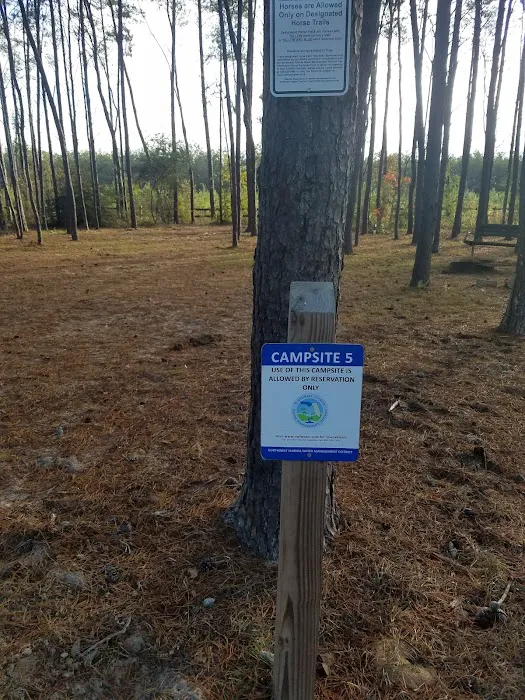 Pine Ridge Equestrian Trail 8