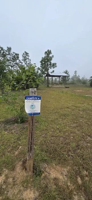 Wolf Pond North 6