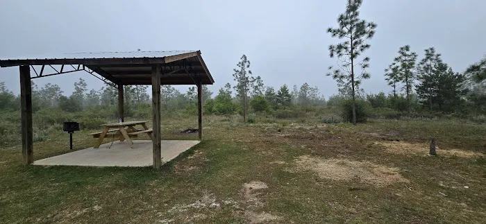 Wolf Pond North 8