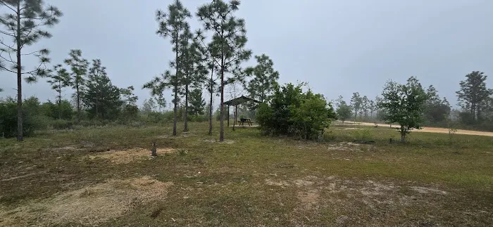 Wolf Pond North 5