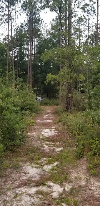 Summerfield mobile homes 4