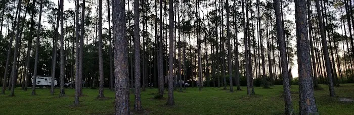 Summerfield mobile homes 2