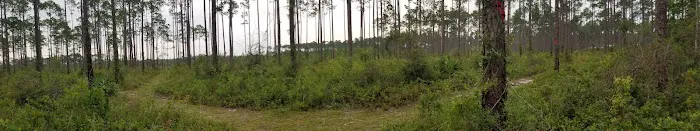 Summerfield mobile homes 0