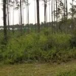 Summerfield mobile homes