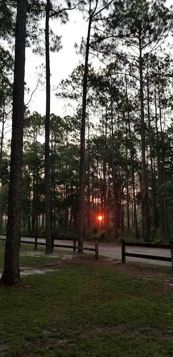 Summerfield mobile homes 3
