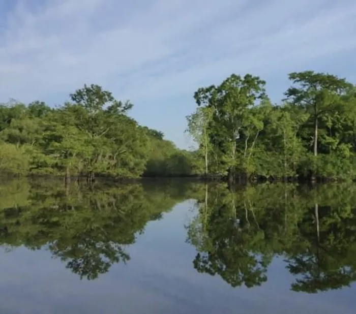 River Run RV Campground Bonifay 3