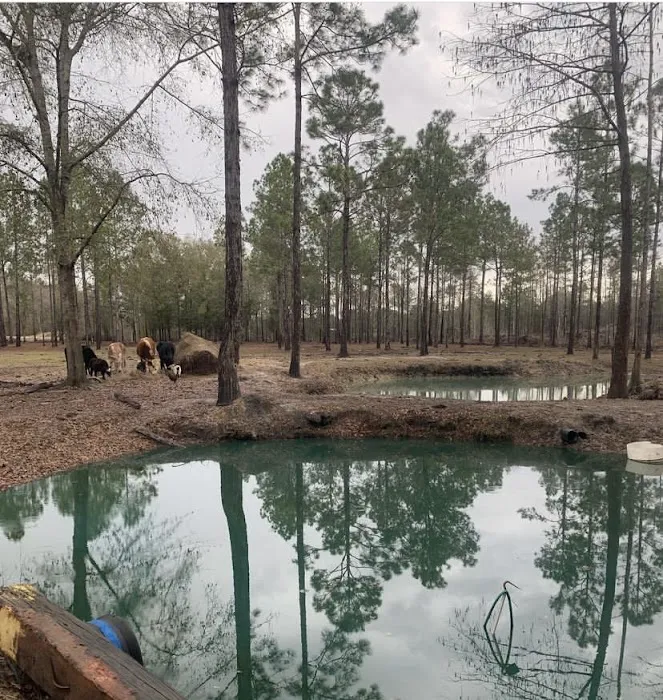River Run RV Campground Bonifay 4
