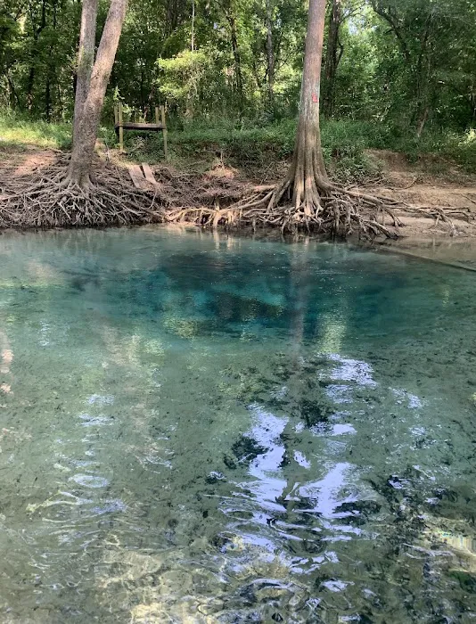 River Run RV Campground Bonifay 9