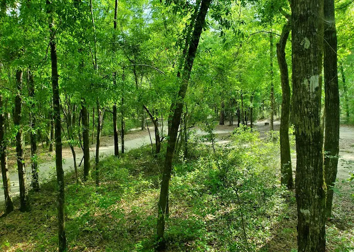CampOut Alabama 2