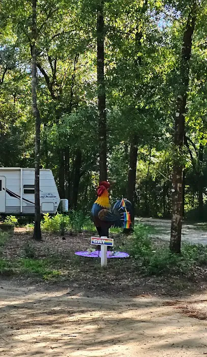 CampOut Alabama 5