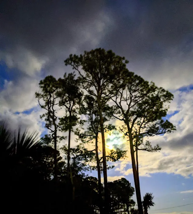 Coastline RV Campground 3