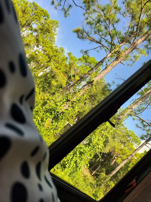 Saint George Island State Campground 1
