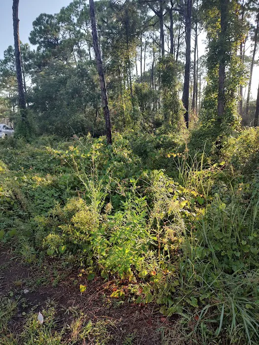 Saint George Island State Campground 5