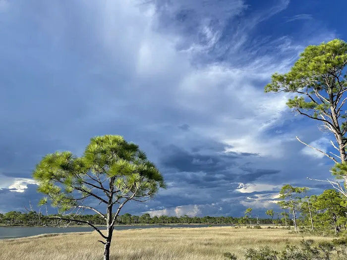 Saint George Island State Campground 6