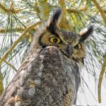 Carrabelle Beach RV Resort