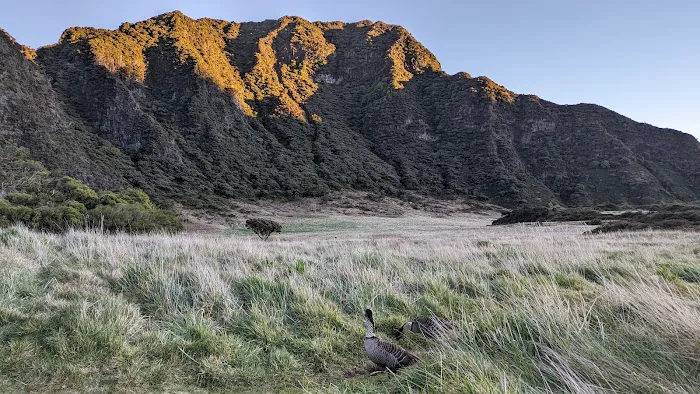 Palikū Campground 2
