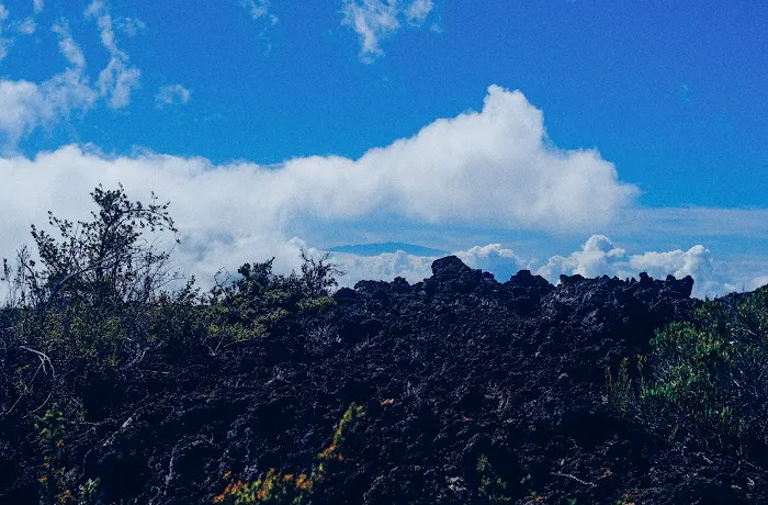 Palikū Campground 5