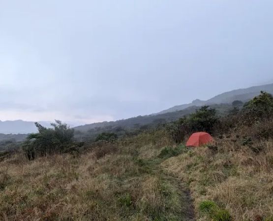 Palikū Campground