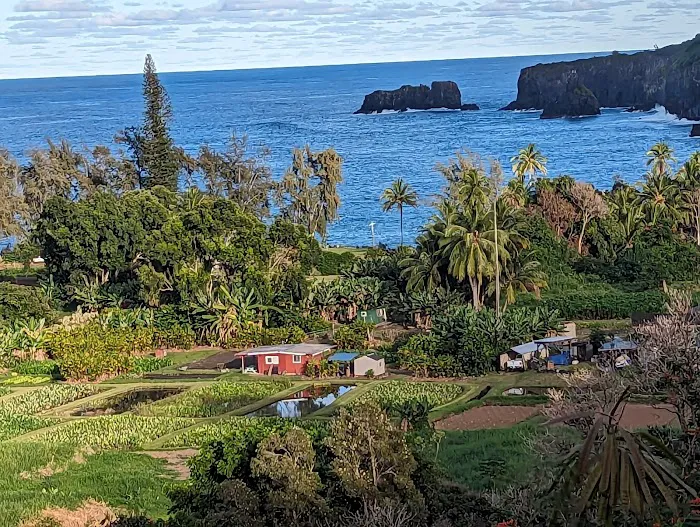 Ke'anae Uka 3