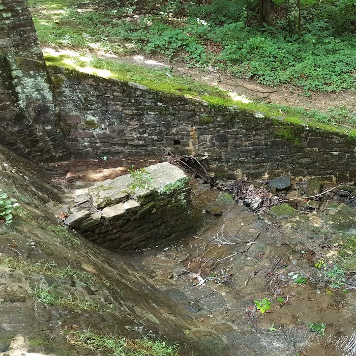 US Forestry Department 7