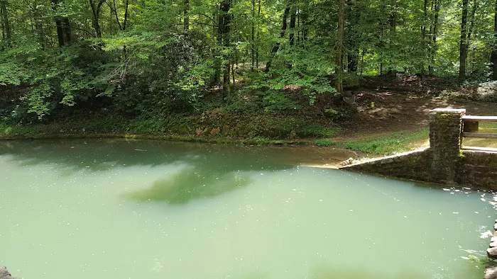 US Forestry Department 1