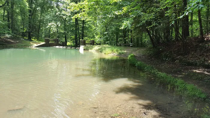 US Forestry Department 3