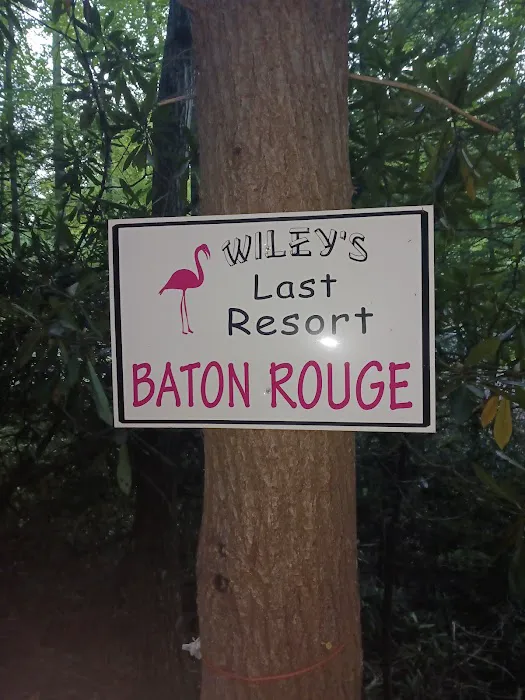 Baton Rouge (Wiley's Last Resort) 0