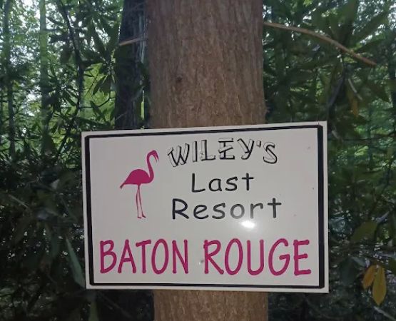 Baton Rouge (Wiley's Last Resort)