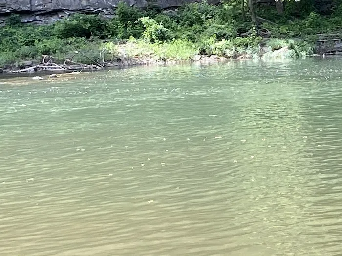 Guyandotte Campground 3