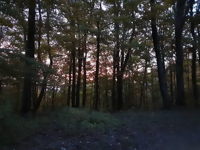 Abingdon Gap Shelter, Appalachian Trail 8