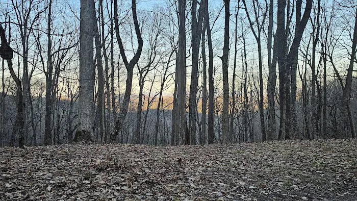 Abingdon Gap Shelter, Appalachian Trail 0