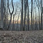 Abingdon Gap Shelter, Appalachian Trail