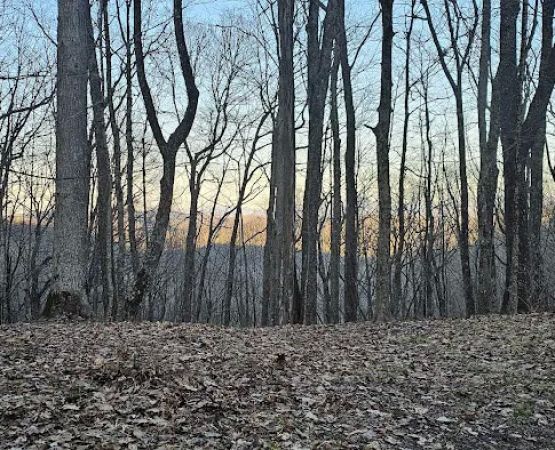 Abingdon Gap Shelter, Appalachian Trail