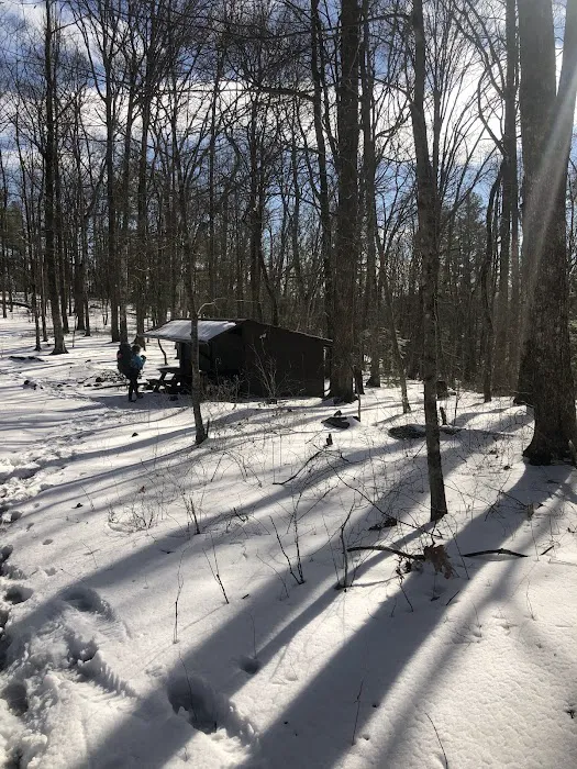 Abingdon Gap Shelter, Appalachian Trail 7