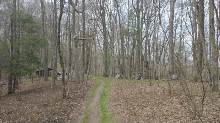 Abingdon Gap Shelter, Appalachian Trail 5