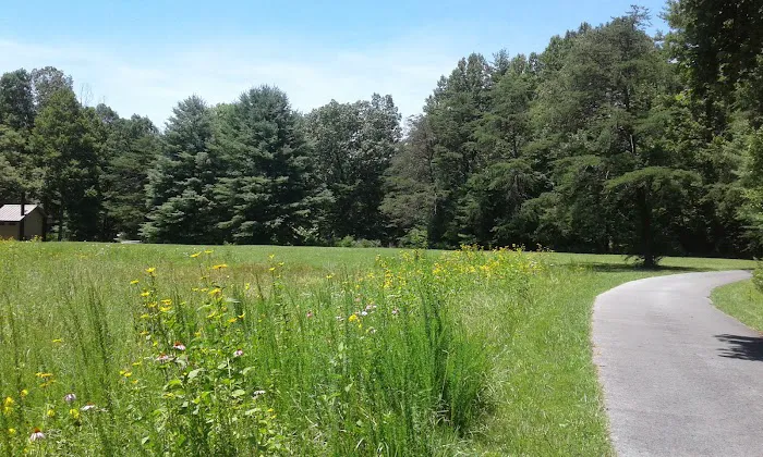 Little Oak Campground 9
