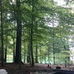 Little Oak Campground