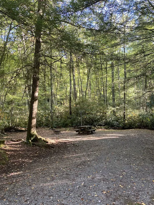 Beartree Recreation Area 2