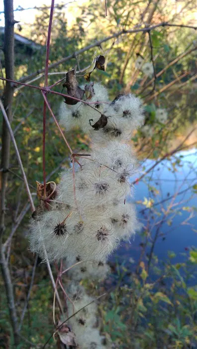 Beartree Recreation Area 9