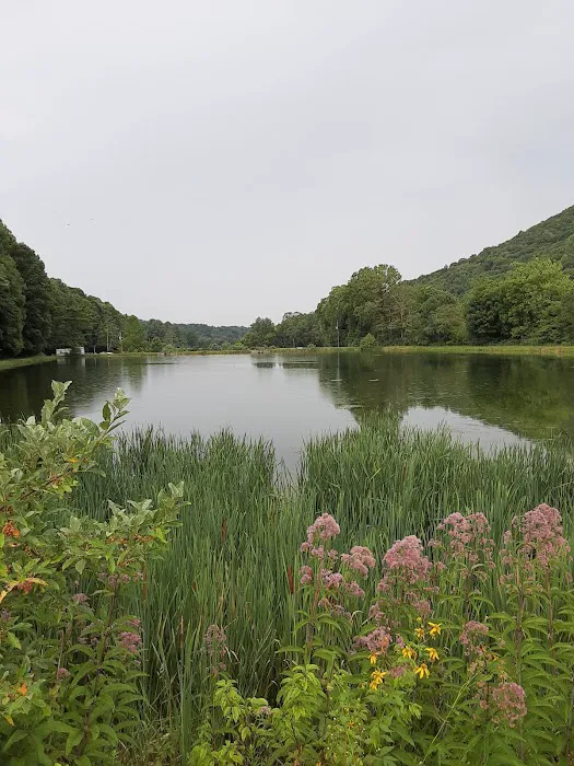 Beartree Recreation Area 6