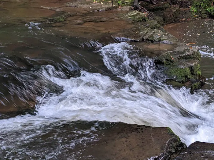 Backbone Rock Campground 4