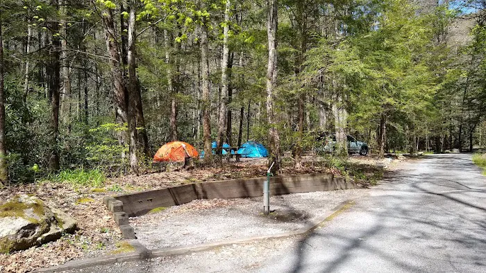 Backbone Rock Campground 2