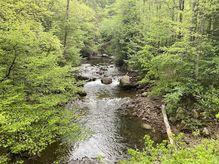 Backbone Rock Campground 6