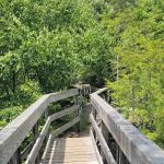 Backbone Rock Campground