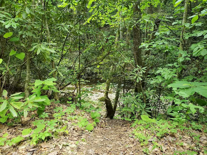 Backbone Rock Campground 9