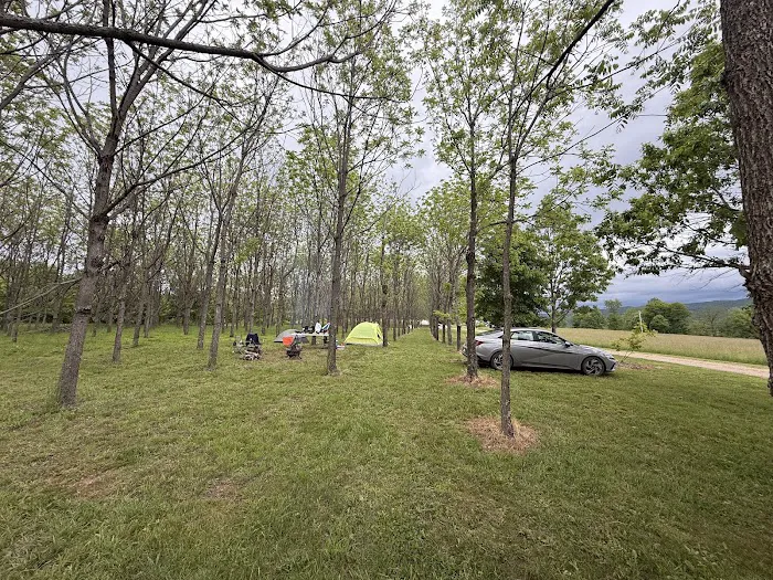 TriMountainView Campground 3