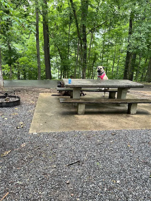 Warriors' Path Main Campground 1
