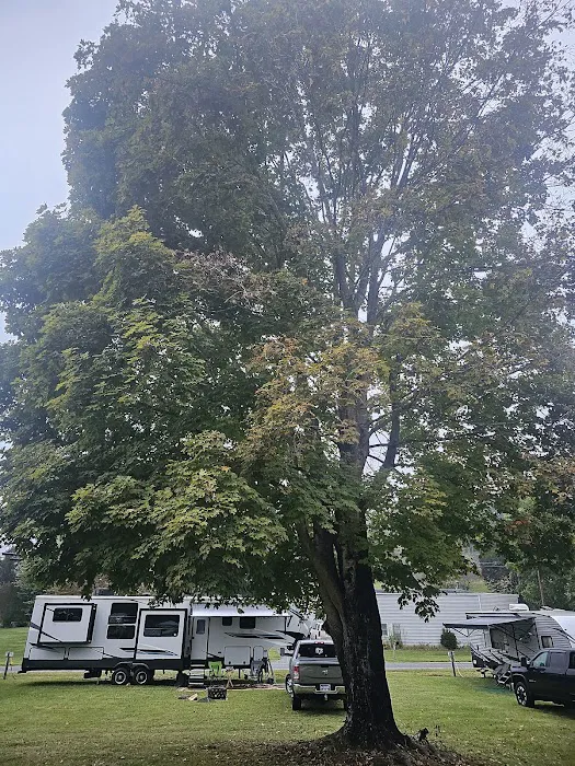 Bristol Raceway Camping 0