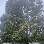 Bristol Raceway Camping